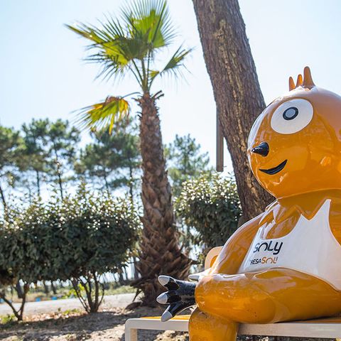 Camping Village Resort et Spa Le Vieux Port Camping Village Resort et Spa Le Vieux Port - Camping Landes - Image N°54