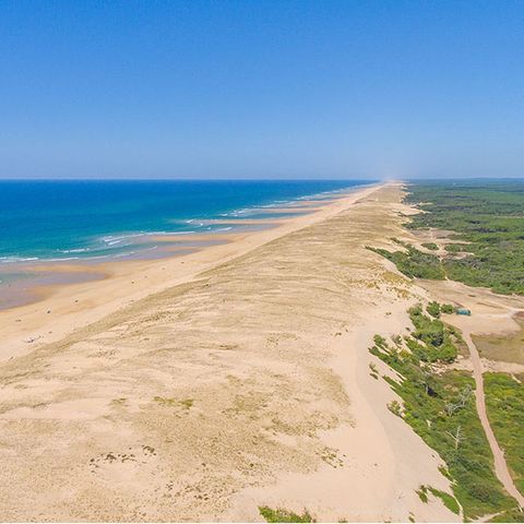 Camping Village Resort et Spa Le Vieux Port Camping Village Resort et Spa Le Vieux Port - Camping Landes - Image N°75