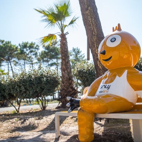 Camping Village Resort et Spa Le Vieux Port Camping Village Resort et Spa Le Vieux Port - Camping Landes - Image N°26