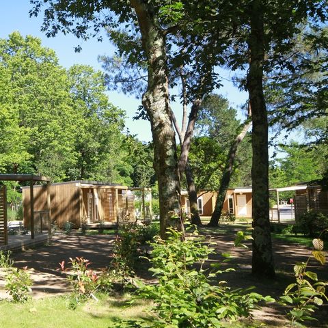 Chalet 2 Personen - Chalet Petit Ecolier 1 Zimmer - 16m²