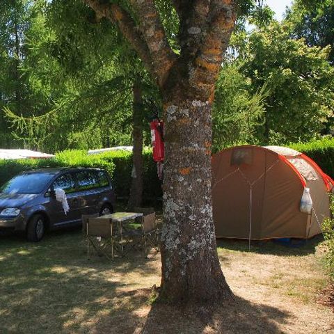 Kampeerplaats - Comfort: auto + tent/caravan of camper + elektriciteit