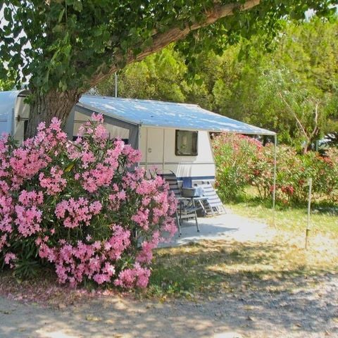 Stellplatz - Ciela Pauschale Stellplatz Confort