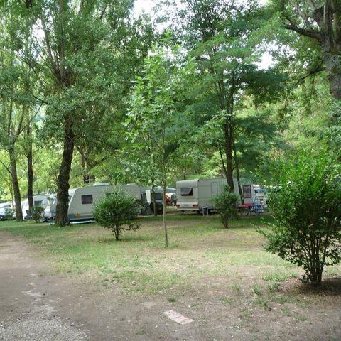 STAANPLAATS - Natuurpakket (1 tent, caravan of camper / 1 auto)
