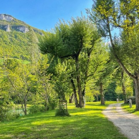 PARCELA - Paquete frente al río (1 tienda, caravana o autocaravana / 1 coche)