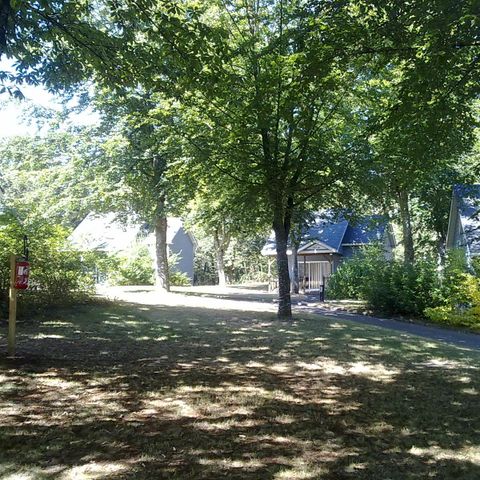 Chalet 4 Personen - Chalet (2 Zimmer) PMR - geeignet für Menschen mit eingeschränkter Mobilität