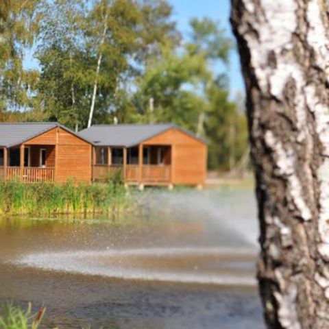 Mobile home 6 persons - COTTAGE MERLOT