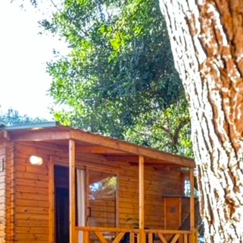 Chalet 3 personen - Bonsai-Hütte