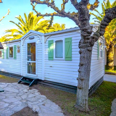 Stacaravan 6 personen - Huisje Acacia