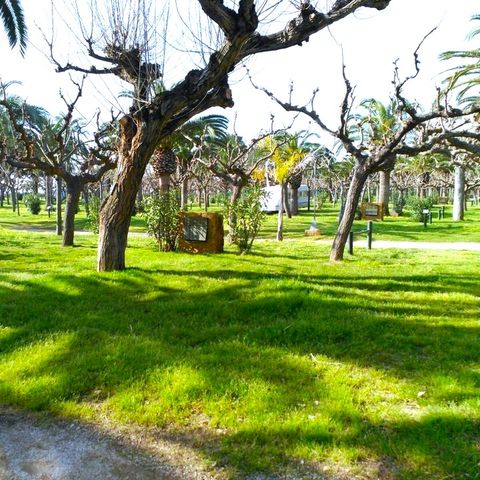 PIAZZOLA - Standard + Elettricità 6A + auto (72 m²)