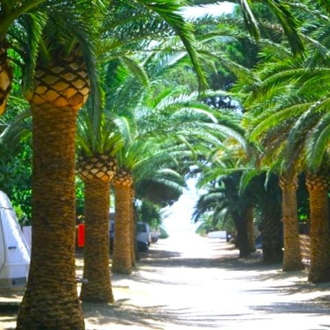 Pitch - Standard + Electricity 6A + car (72 m²)