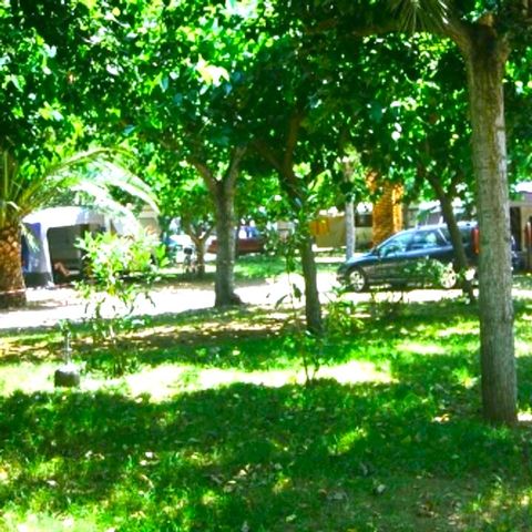 Pitch - Standard + Electricity 6A + car (72 m²)