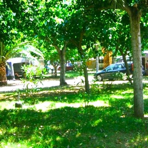 PLOT - Standard + Electricity 6A + car (72 m²)