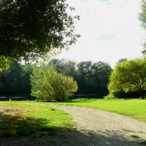 Stellplatz - Komfort