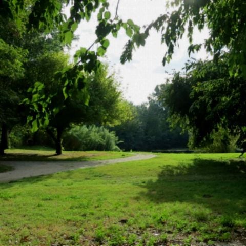 STAANPLAATS - voor fietsers