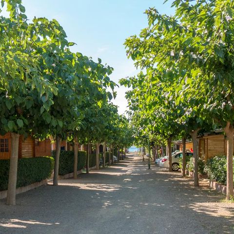 Camping Playa Y Fiesta Camping Playa Y Fiesta - Camping Tarragone - Image N°53