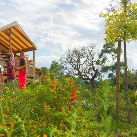 Tente en toile et en bois 5 personnes - Lodge