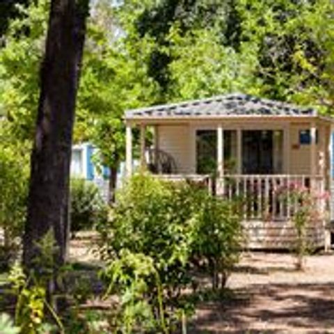 MOBILE HOME 6 people - Family +