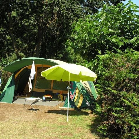 PARCELA - Parcela | Imprescindible | Tienda | Vehículo -7m | <100m² | Electricidad | Sin agua