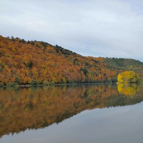 Domaine du Lac de Chambon Domaine du Lac de Chambon - Camping Puy-de-Dome - Image N°24