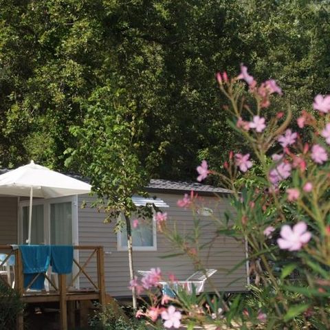 BUNGALOW 4 personnes - Grand Confort Méditerranée