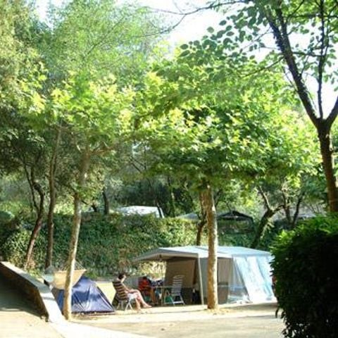 PARCELA - Parcela confort (con 6 Amp electricidad incl.) - 7m máx cuerdas/luna incl.