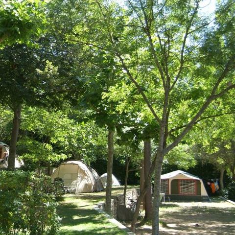 Pitch - Comfort pitch (with 6 Amp electricity incl.) - 7m max ropes/moon incl.