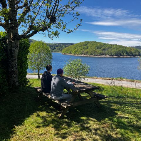 Les Rives du Lac du Laouzas - Camping Tarn - Image N°4