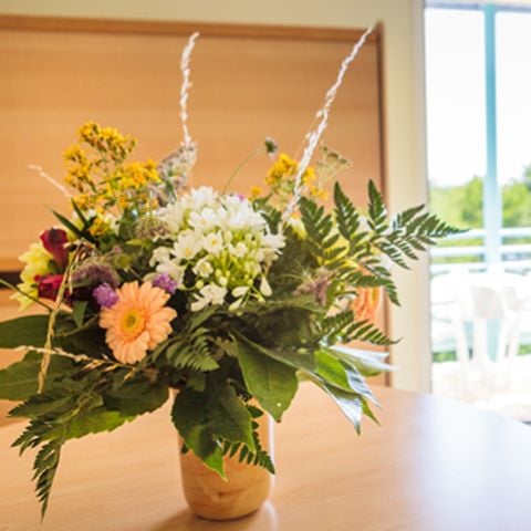 LANDHAUS 5 Personen - 3 Stück