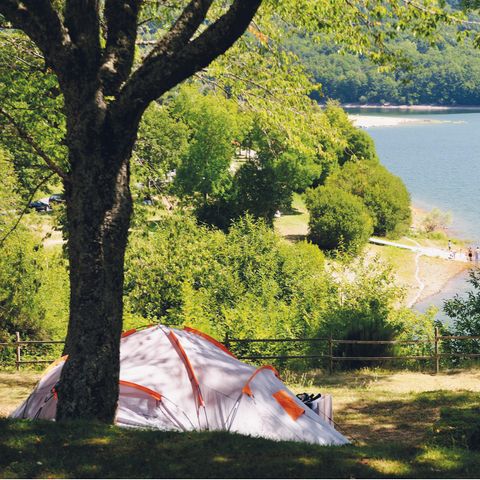 PIAZZOLA - Piazzola su erba