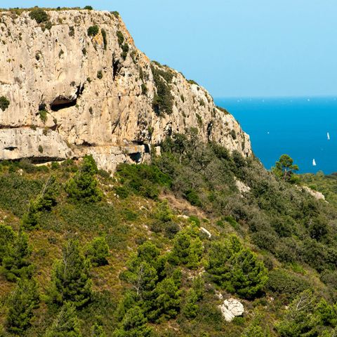 Camping La Falaise Camping La Falaise - Camping Aude - Image N°24
