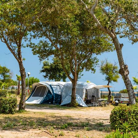 PARCELA - con electricidad