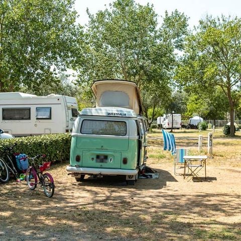 PARCELA - con electricidad