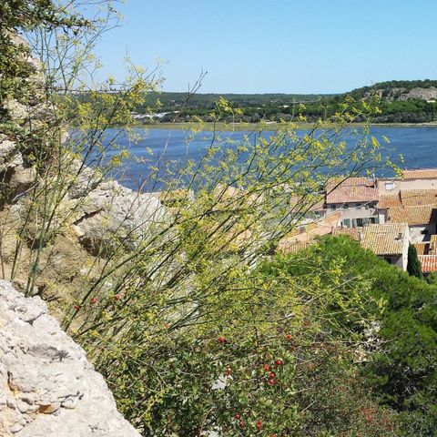 Camping La Côte des Roses Camping La Côte des Roses - Camping Aude - Image N°30