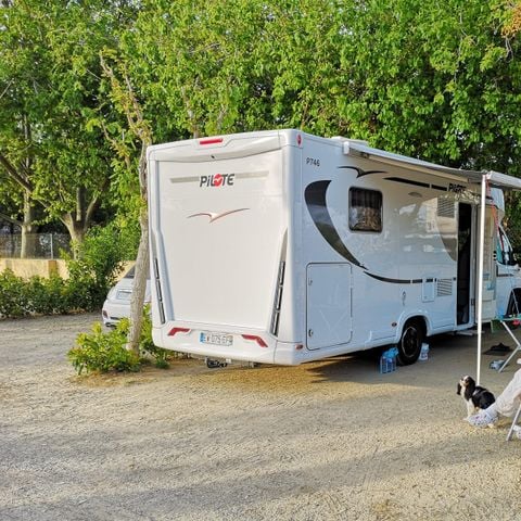 Kampeerplaats - STANDAARD (41 m2 OF 59 m2)