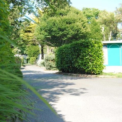 EMPLACEMENT - Emplacement + voiture + douches chaudes + électricité 15A