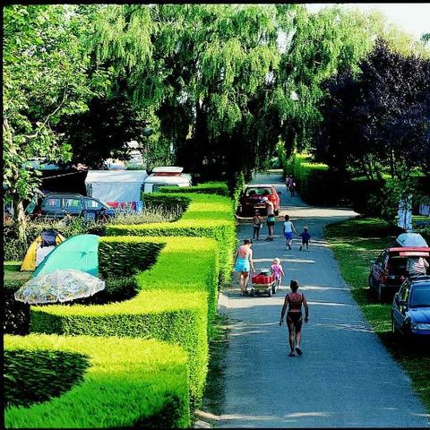 Stellplatz - Stellplatz + Auto + warme Duschen + Strom 15A