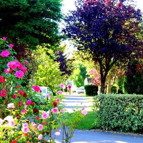 PIAZZOLA - Allacciamento acqua e scarico + auto + docce calde + elettricità 10A