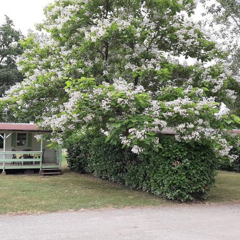 CASA MOBILE 4 persone - 18 M²