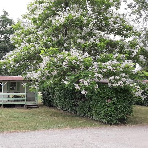 MOBILHOME 4 personnes - 18 M²