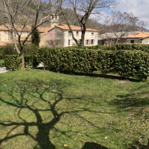 PIAZZOLA - Piazzola comfort Solo tenda