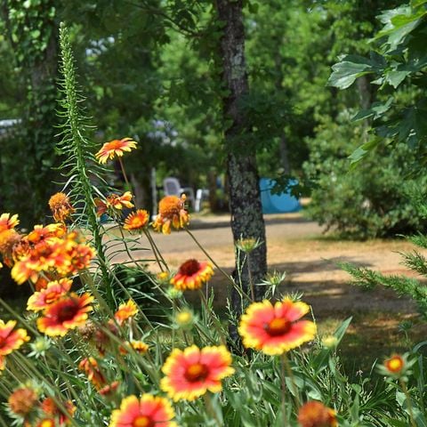 EMPLACEMENT - Avec électricité 10 amp.