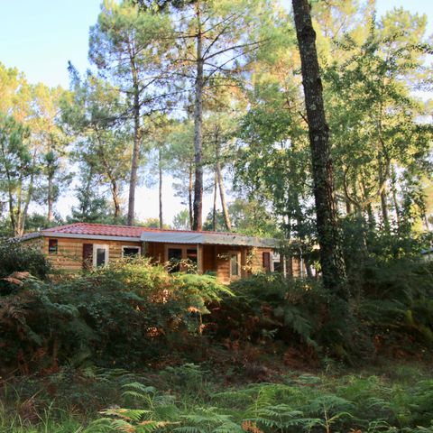 LODGE 6 persone -  Cottage Loggia "Vista bosco" 6p - 3 camere da letto - TV - Aria condizionata