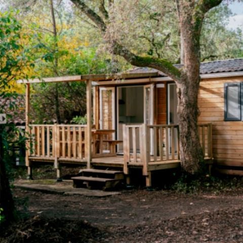 CASA MOBILE 4 persone - MATA 2bed 4pers