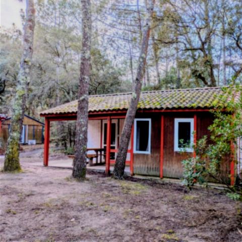 Chalet 4 personen - DUNE 2bed 4pers
