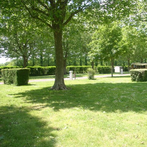 Pitch - Pitch for 2 persons + one installation + one car or 2 persons + motor home