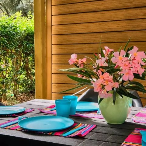 MOBILHOME 6 personnes - Premium 4 Pièces 6 Personnes Climatisé + TV