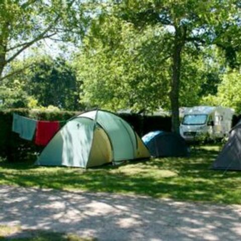 STAANPLAATS - Standplaats: auto + tent/caravan of camper