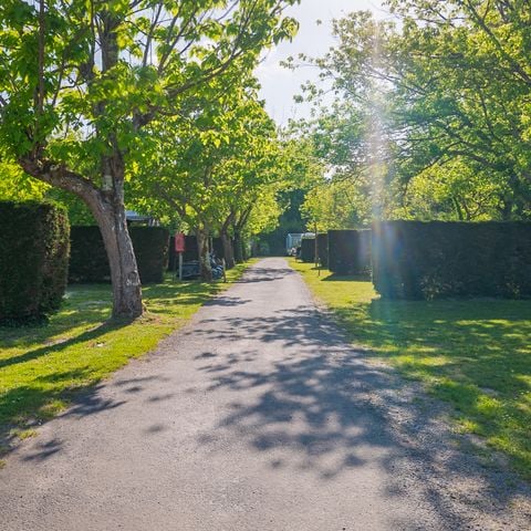 PARCELA - Parcela Privilege 4 racimos: coche + caravana o autocaravana