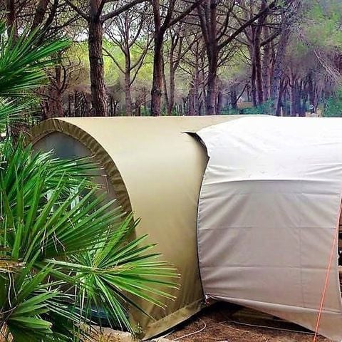 Tent 4 persons - BELLA TENT SUITE - Without sanitary facilities