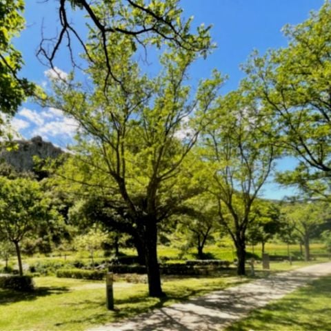 PIAZZOLA - Posizione